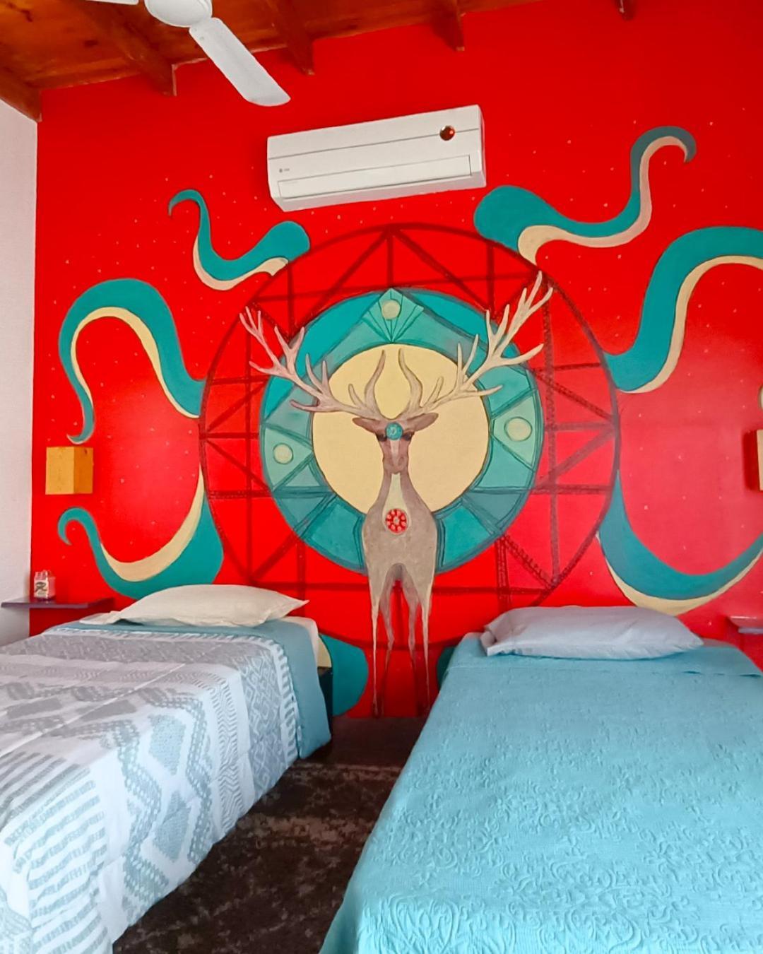 Adventure Inn 라파스 외부 사진